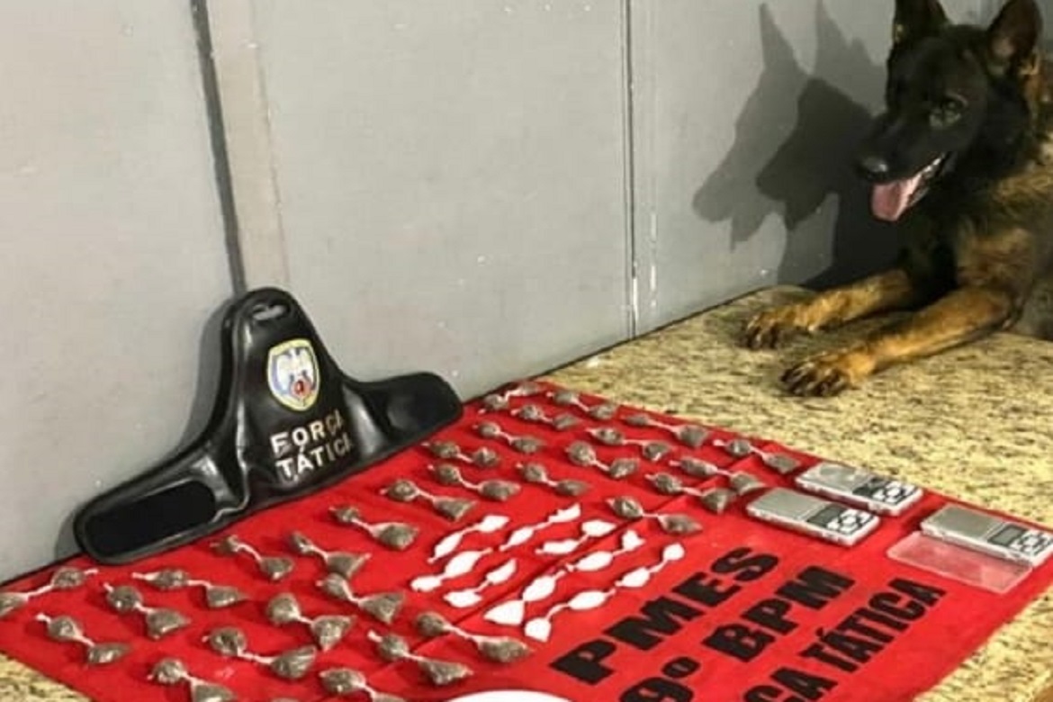  Polícia encontra drogas em Cachoeiro com a ajuda do cão Messi