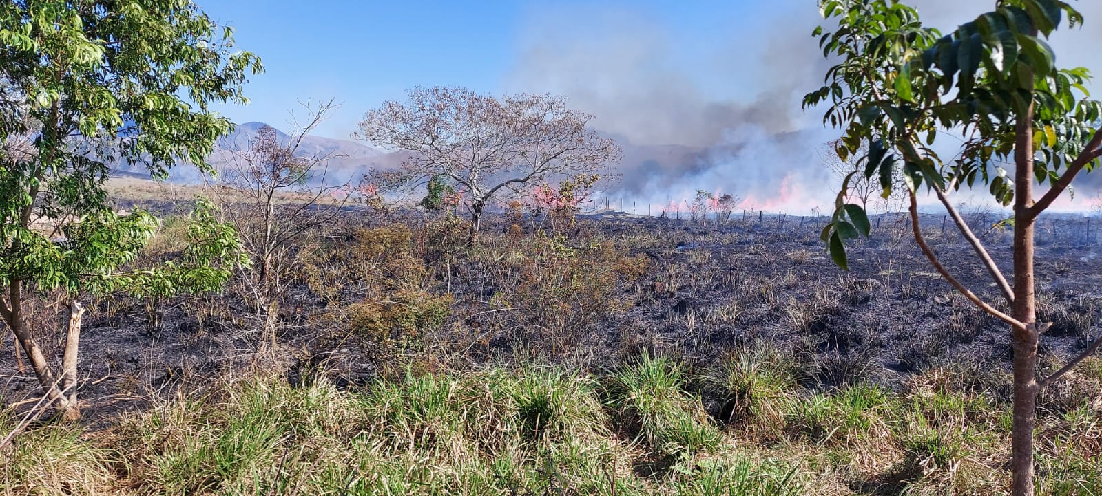  Incêndio em vegetação destruiu área equivalente a 20 campos de futebol em Apiacá